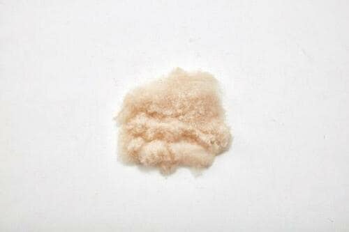 【S評価】スピードも仕上がりも◎毛足に合わせた調整も可能です イメージ3