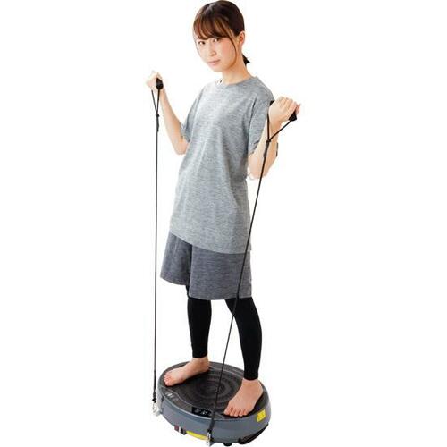 省設計ゆえの限界も……アルインコ「カリーノ」