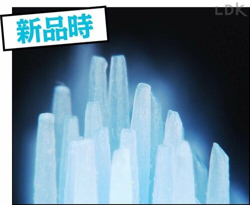 毛先の変化：新品時 歯ブラシおすすめ イメージ