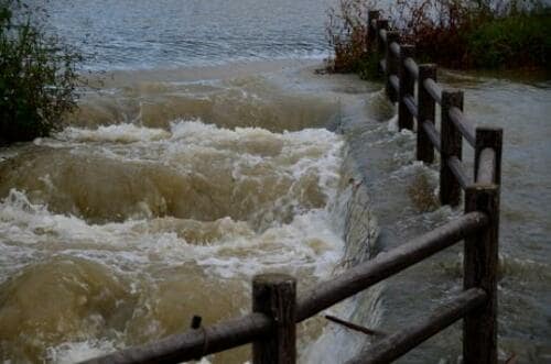 9ec9b8f913b17b35b7c899fb2553f708_t.