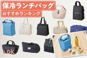 保冷ランチバッグのおすすめランキング。LDKがペットボトルも入る人気商品を比較