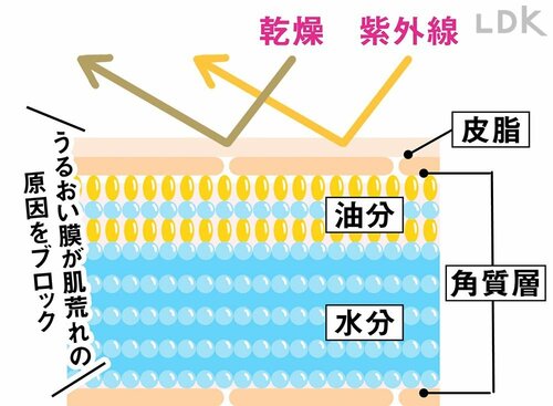 紫外線や乾燥ダメージを防ぐため、朝は必要なうるおいを残すのが大事 プチプラコスメおすすめ イメージ