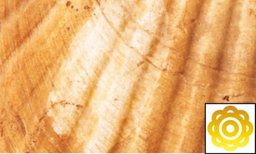 即効ホワイトニング力 ホワイトニングジェルおすすめ イメージ