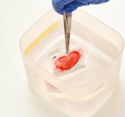 耐温水性:お湯に強く家事中も使いやすいかどうか 安いハンドクリームおすすめ イメージ