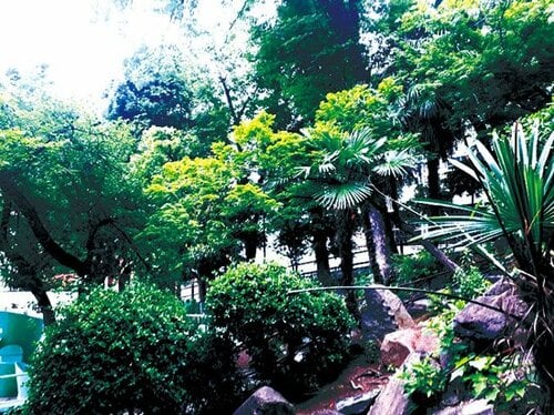 C評価: 【C評価】カバンに入るコンパクトサイズは○ですが イメージ