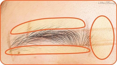 高さ 眉のお手入れ方法&描き方のコツおすすめ イメージ