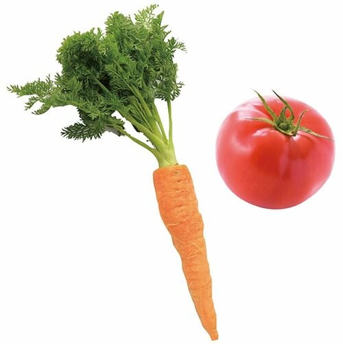 生野菜との違いは食物繊維と栄養の吸収率 イメージ3