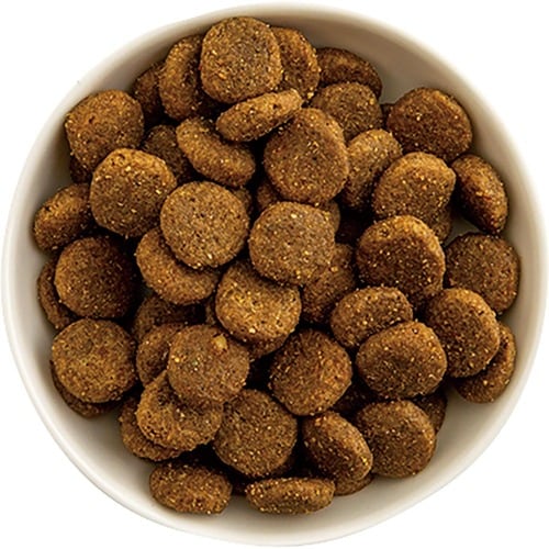 グレインフリーキャットフードおすすめ マースジャパン ニュートロ ワイルドレシピ アダルトチキン イメージ2