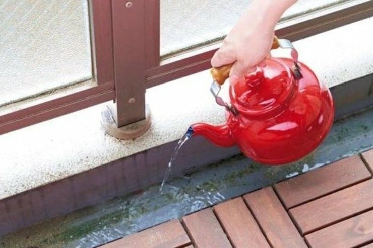 【ベランダ掃除】コケ落としは「お湯かけ」カビには「マイペット」が正解でした｜『LDK』とお掃除のプロが伝授
