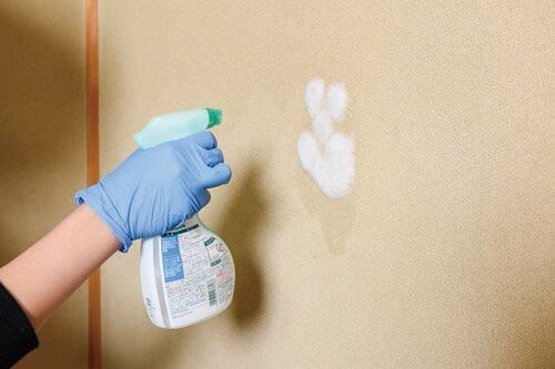 凸凹した壁にはマイペットと歯ブラシを使えばバッチリ！ イメージ2