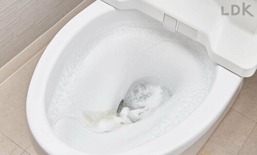 STEP4:30分ほど放置後トイレの水を流す トイレ洗剤おすすめ イメージ