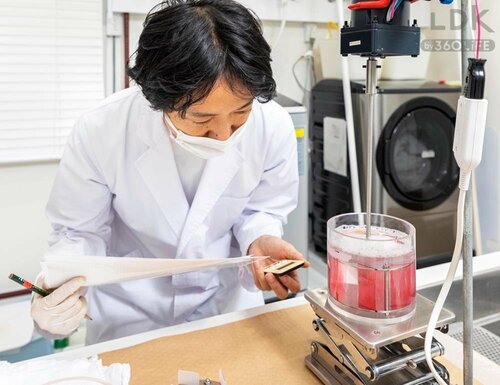 テスト1:洗浄力 プチプラボディソープおすすめ イメージ
