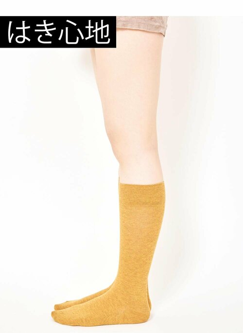 ふくらはぎが持ち上がる独特の感覚 着圧ソックスおすすめ イメージ