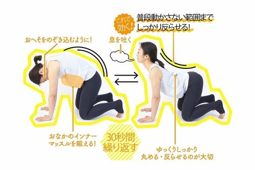 普段動かさない範囲までゆっくりしっかり反らせる ズボラストレッチおすすめ イメージ