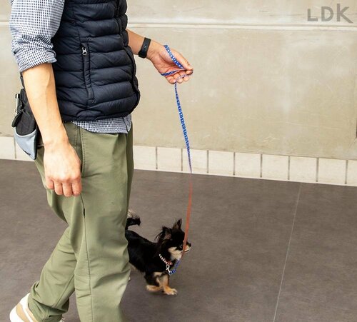 品質はビミョーだけど散歩はしやすい 犬用リードおすすめ イメージ