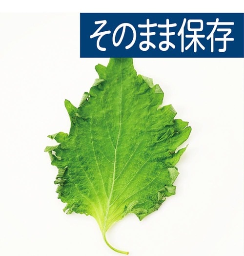 そのまま保存(5日後) 100均おすすめ イメージ