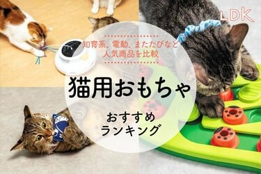 猫用おもちゃのおすすめランキング21選。知育玩具、電動タイプなど人気 