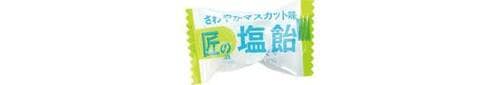 5位: ジューシーな甘みが凝縮!サラヤ「匠の塩飴 マスカット味」