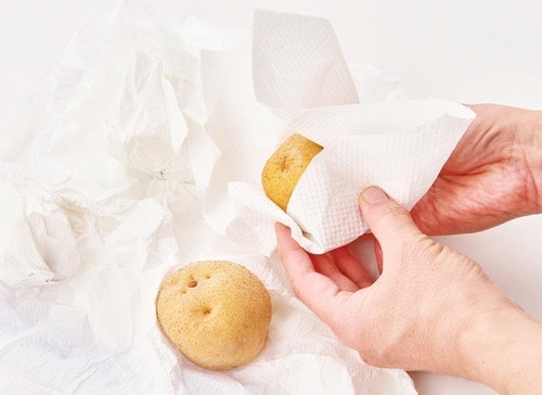 冷凍術:洗って水けを拭いてペーパーでくるむ 野菜の冷凍保存方法おすすめ イメージ