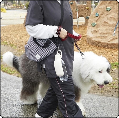 普段のお散歩ならまったく問題ナシ 犬のお散歩バッグおすすめ イメージ