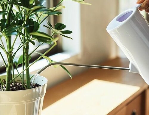 選び方3:注ぎ口 ガーデニング用じょうろおすすめ イメージ