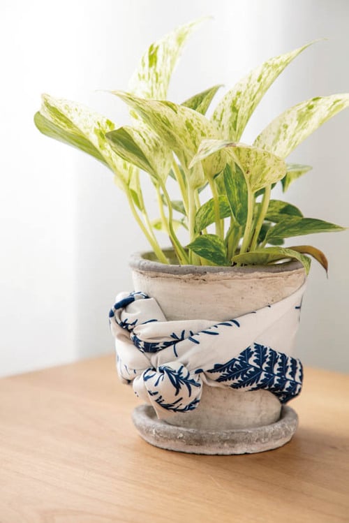 ［実力まぁまぁ］フリークロスは◎ 100円だから汚れてもOK イメージ3