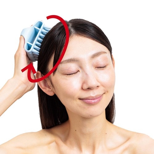 シャンプーブラシを活用するのもあり 女性用育毛剤おすすめ イメージ