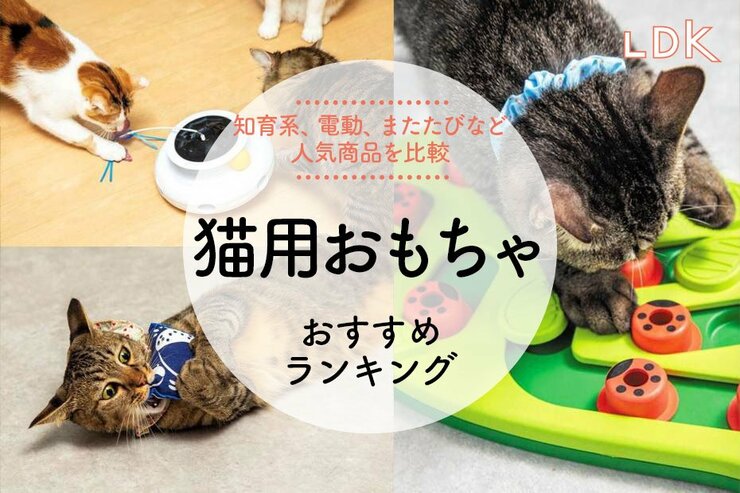 【LDK公式】猫用おもちゃのおすすめランキング。知育玩具、電動タイプなど人気商品を比較