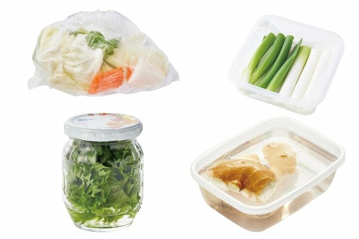 フードロスを防げ！傷ませがちな野菜の保存テク４選を大公開