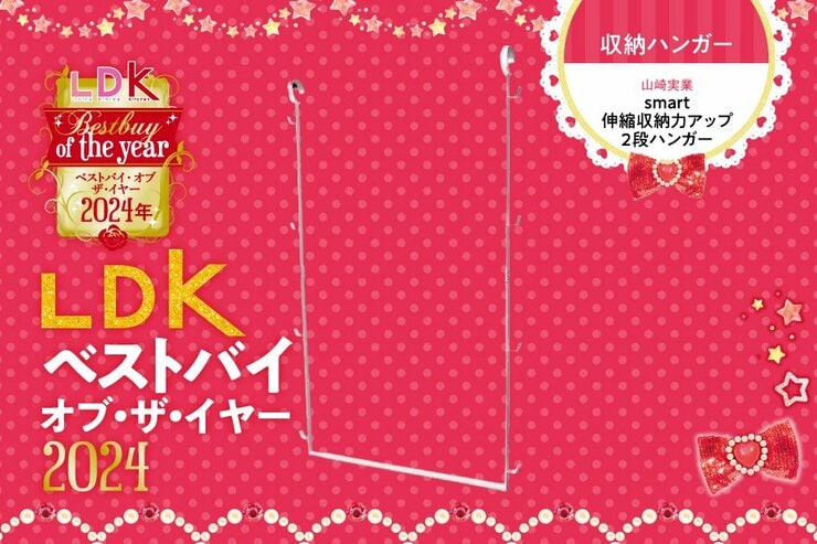 上に大人服、下に子ども服！ 上下左右に収納しまくれる山崎実業の2段ハンガー【LDKベストバイ2024】