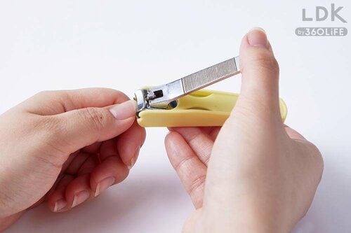 爪切り買い替えのサインとは? 爪切りおすすめ イメージ