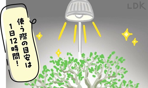 3：暗い場所に置きたいなら専用ライトを 観葉植物おすすめ イメージ