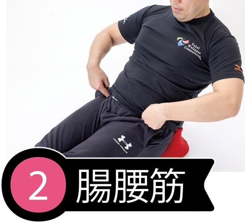 2：腸腰筋 イメージ