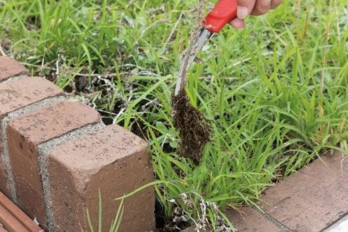 差し込んで引き抜くだけでカンタンに除草できる