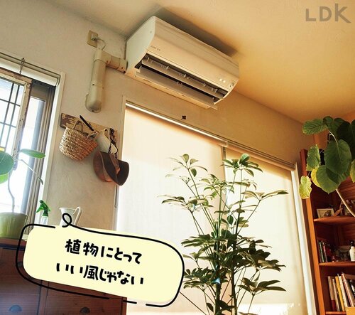 4：エアコンの風は避ける 観葉植物おすすめ イメージ