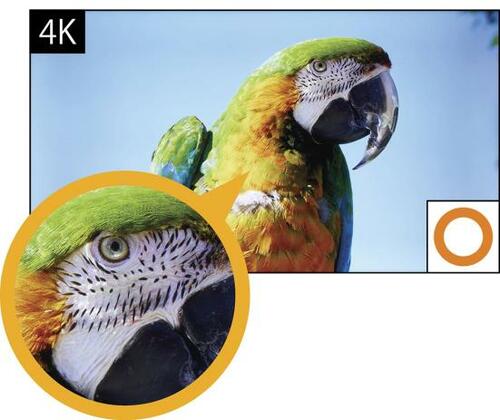 低遅延でゲーム派に大アリ！ ハイセンス「55U7F」 イメージ3