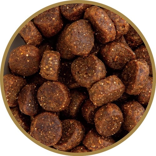 猫用ドライフードおすすめ OPF ワイルドランド チキン アダルト イメージ2