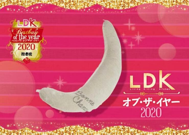 ぐっすり快眠！ サンデシカ「妊婦さんのための洗える抱き枕」｜LDK オブ・ザ・イヤー2020