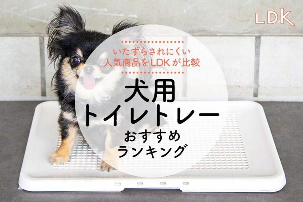 犬用トイレトレーのおすすめランキング6選。快適に使える・お手頃価格