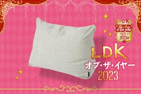 この手があったか！ 使わない布団がクッションになっちゃう収納袋が優秀【LDKベストバイ2023】