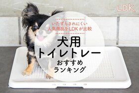 犬用トイレトレーのおすすめランキング。快適に使える・お手頃価格の人気商品をテスト