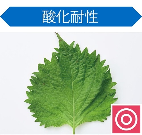 酸化耐性 キッチンポリ袋おすすめ イメージ