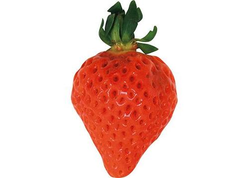 甘さ・食感・香りは品種によって違いがあります イメージ8