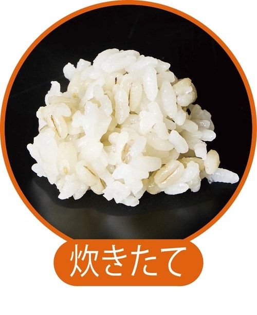炊きたての状態 もち麦おすすめ イメージ