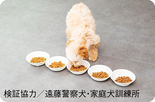テスト2：食いつき ドッグフードおすすめ イメージ
