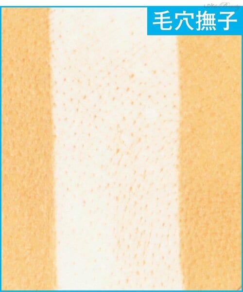 肌模型 クレンジングオイルおすすめ イメージ