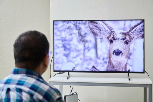 PS5とBDレコーダーを同時接続して検証しました！ HDMI切替機おすすめ イメージ