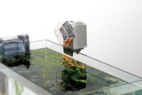 テトラ 自動給餌器おすすめ イメージ