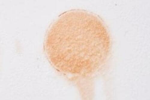 17位: すっぴんレベルの薄づき ファンデーションおすすめ イメージ3