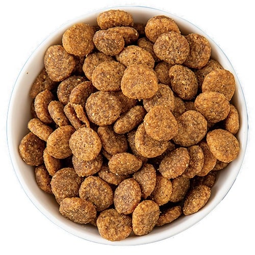 猫用ドライフードおすすめ ベッツ・チョイス・ジャパン セレクトバランス グレインフリー チキン アダルト イメージ2